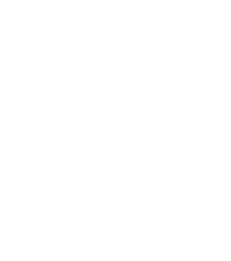 FelixChess